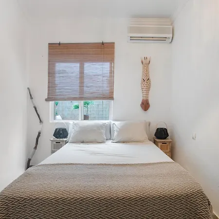 Casa Gecko
